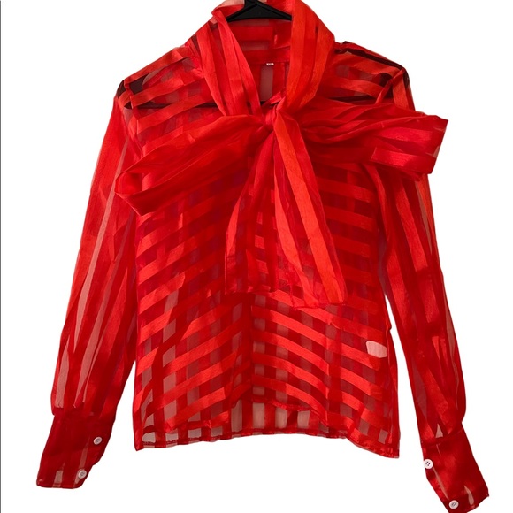 Sheer Blouse - Picture 2 of 4